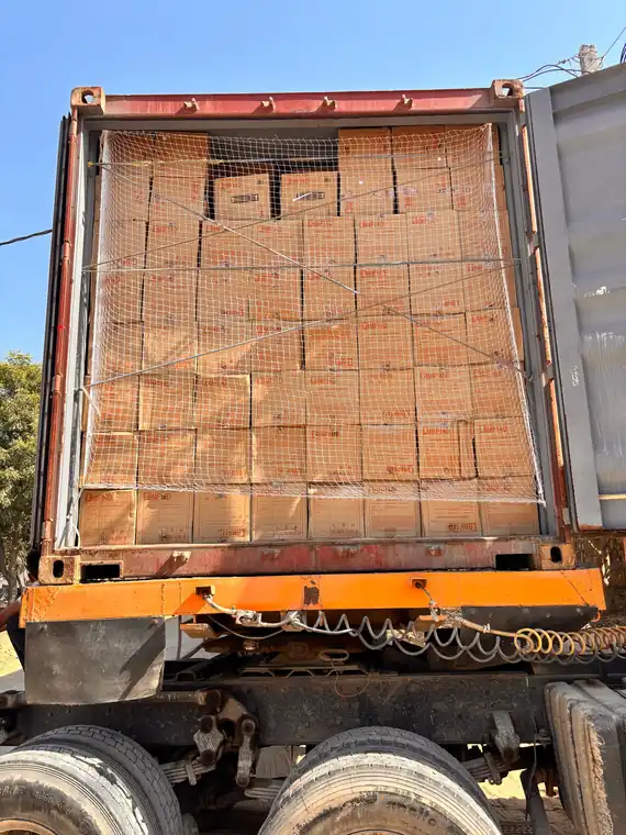 Outbound container netted and sealed for export